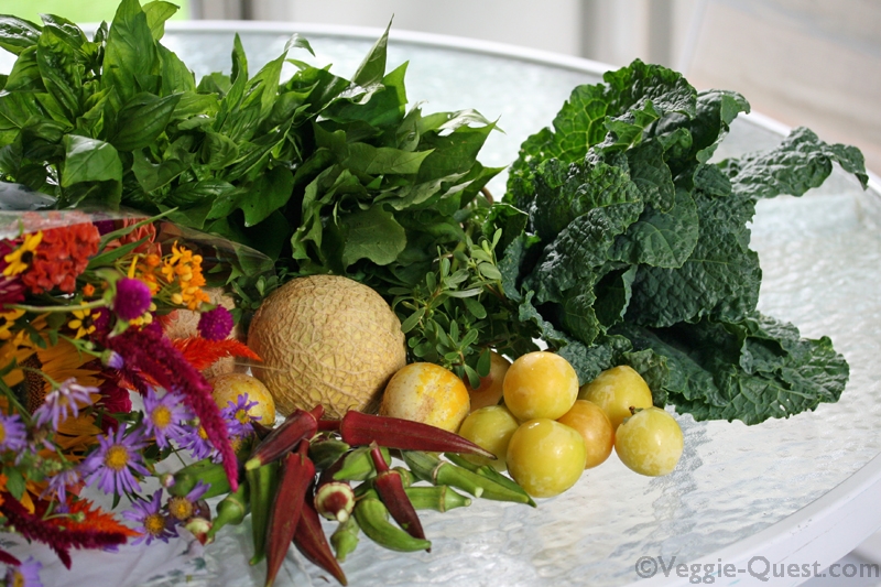 Fruits and Vegetables Well-Being