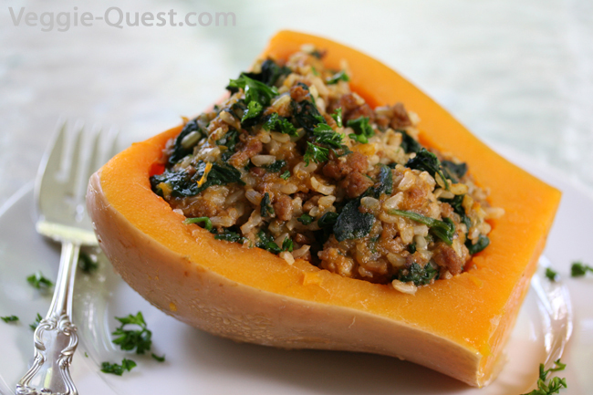 Vegan stuffed squash