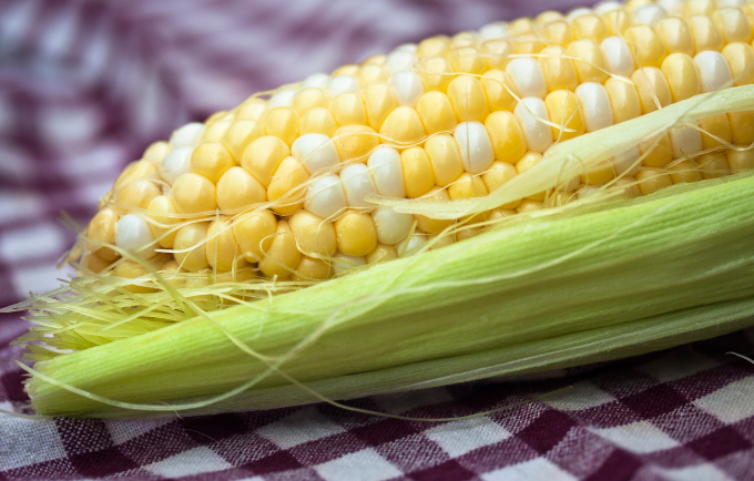 Corn-1