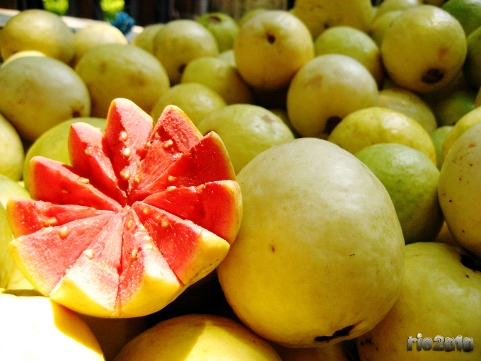 Guava
