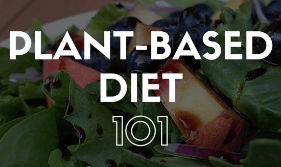 Plant Based Diet 101