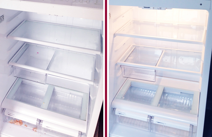 Before-and-After---How-to-Clean-Your-Fridge