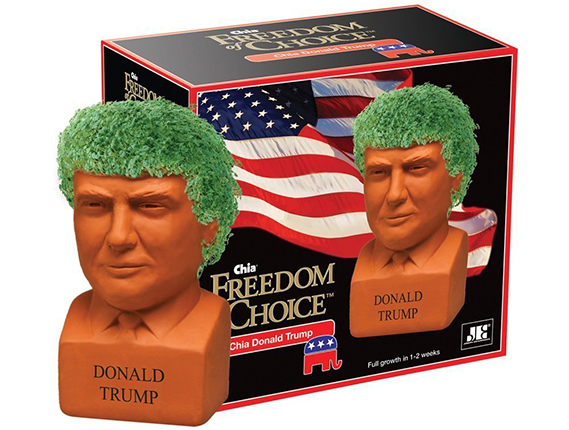 Trump Chia Pet from Amazon