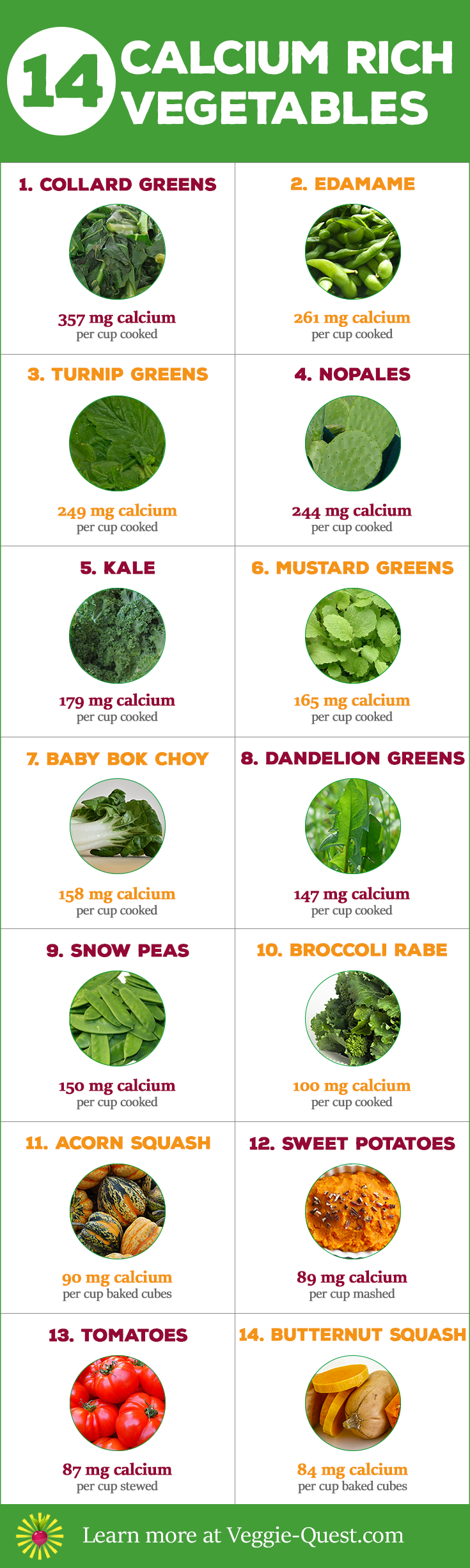 Getting #DairyFree calcium is easy with these 14 Calcium Rich Vegetables. Which one will you try tonight? Read the full article at www.Veggie-Quest.com