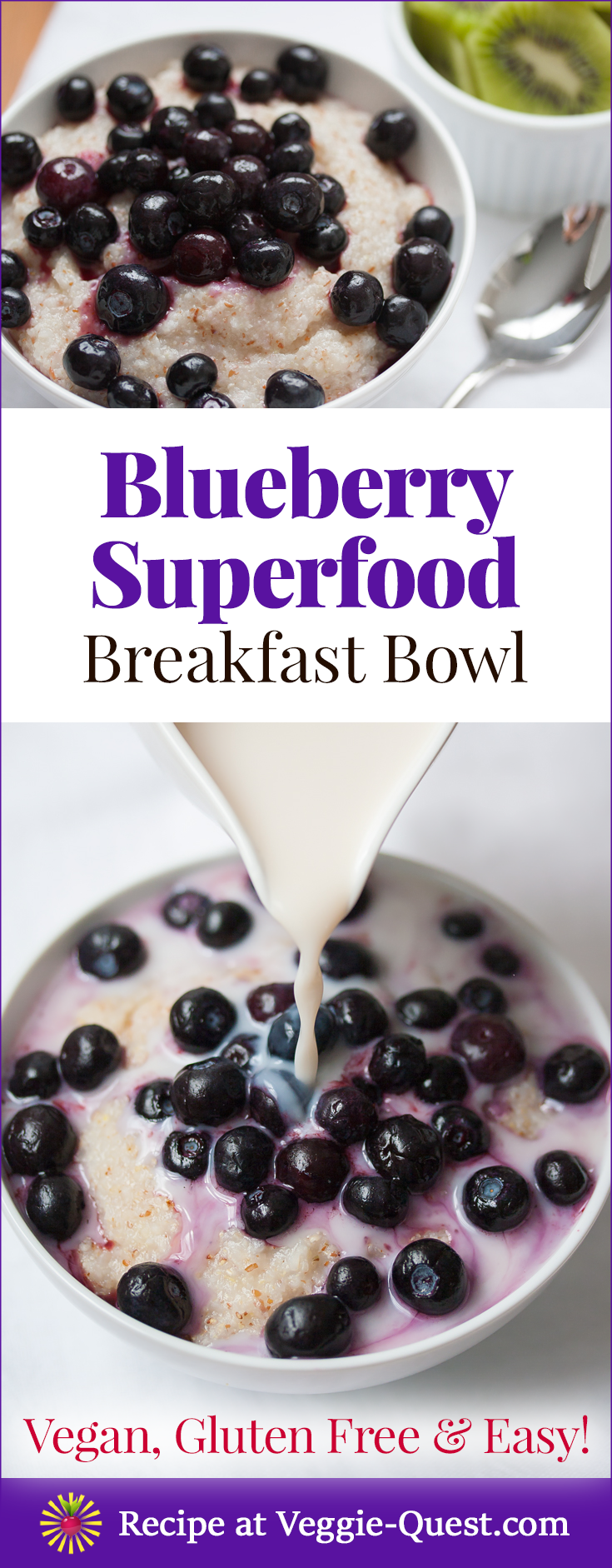 Superfood Made Easy: Blissful Blueberry Breakfast Bowl! Vegan, gluten free, and ready in 5 minutes.