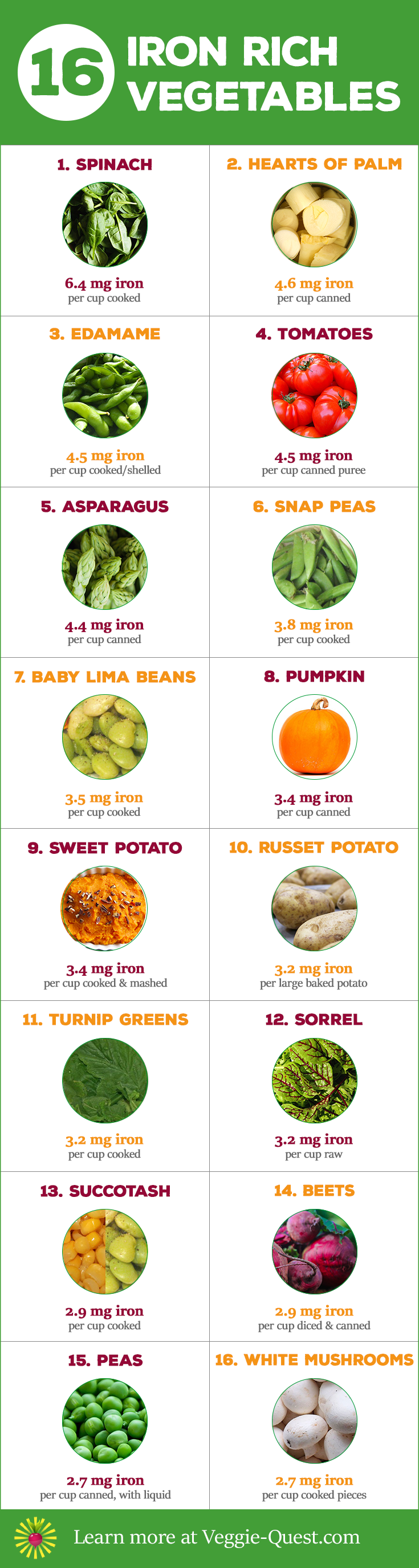 Pump up your health with 16 Iron-Rich Veggies! Learn more at www.Veggie-Quest.com.