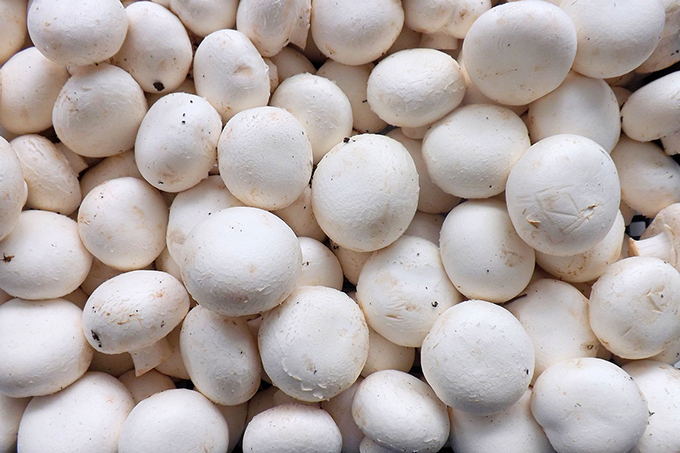 White button mushrooms